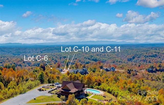 1387 River Club Rdg, Lenoir, NC 28645 - bird's eye view with a view of trees