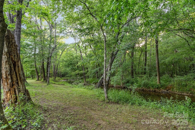 VACANT Reap Rd, Albemarle, NC 28001 - photo 6