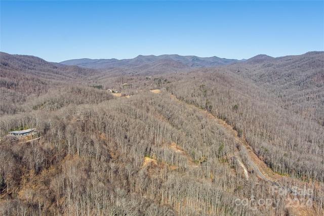 TBD Morgan Hill Rd, Fairview NC, 28730 land for sale