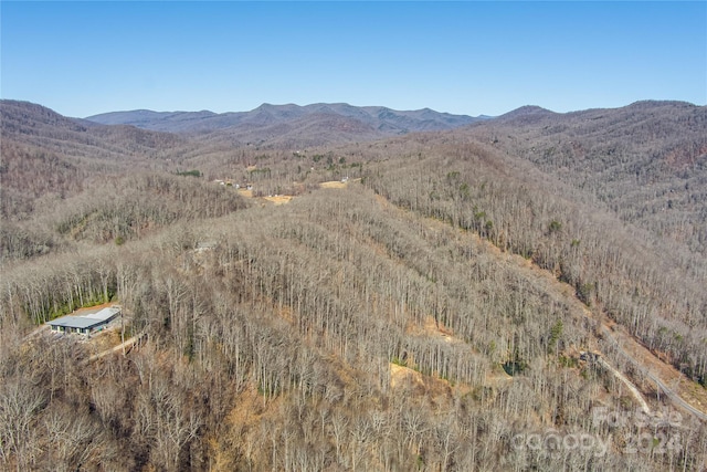 Listing photo 3 for TBD Morgan Hill Rd, Fairview NC 28730