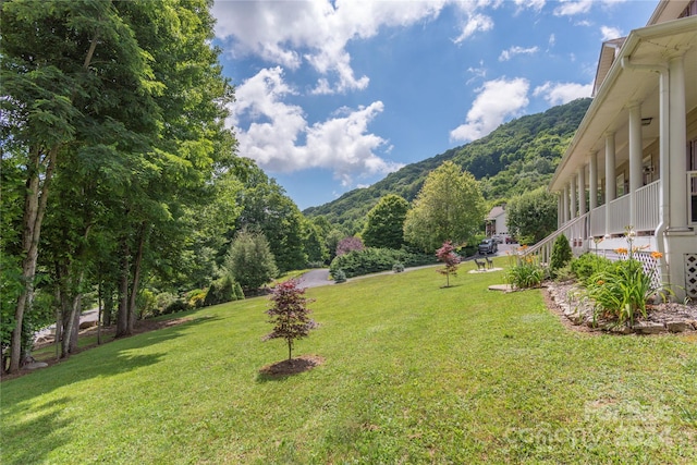 view of yard with a mountain view