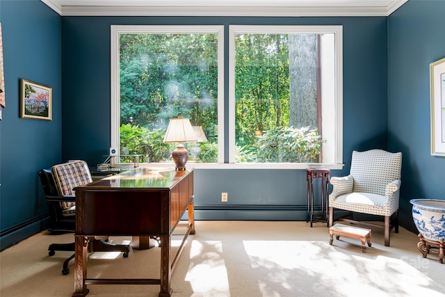 interior space with crown molding and baseboard heating