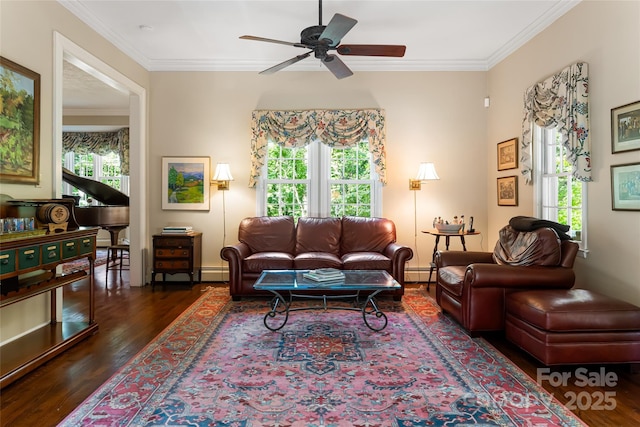 living room with dark wood-type flooring, ceiling fan, ornamental molding, and a baseboard radiator