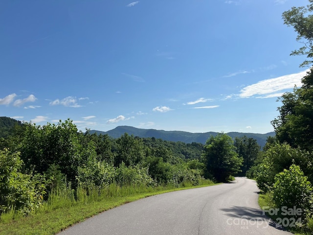 0 Grey Rock Pkwy Unit 250, Lake Lure, NC 28746 - photo 5
