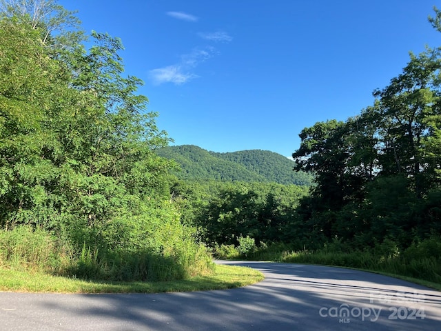 0 Grey Rock Pkwy Unit 250, Lake Lure, NC 28746 - photo 6