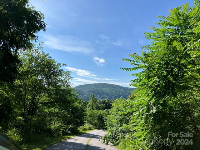 0 Grey Rock Pkwy Unit 250, Lake Lure, NC 28746 - photo 8