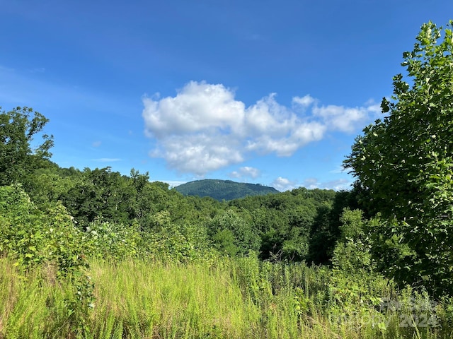 0 Grey Rock Pkwy Unit 250, Lake Lure, NC 28746 - photo 9