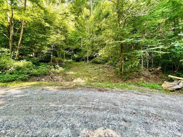 Listing photo 3 for 10.02ACRESTBD Rock Garden Rd, Black Mountain NC 28711