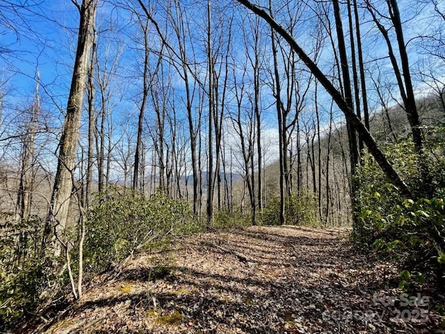 10.02ACRESTBD Rock Garden Rd, Black Mountain, NC 28711