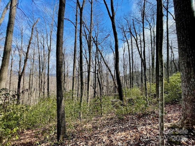 10.02ACRESTBD Rock Garden Rd, Black Mountain, NC 28711