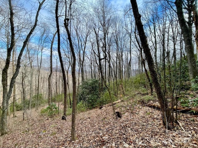 10.02ACRESTBD Rock Garden Rd, Black Mountain, NC 28711
