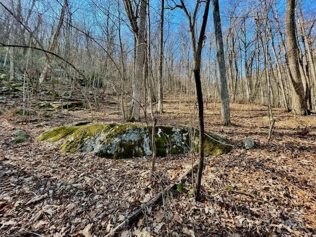 10.02ACRESTBD Rock Garden Rd, Black Mountain, NC 28711