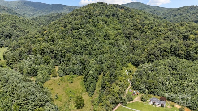 99999 Windswept Dr, Burnsville, NC 28714