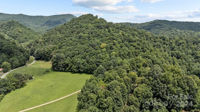 99999 Windswept Dr, Burnsville, NC 28714