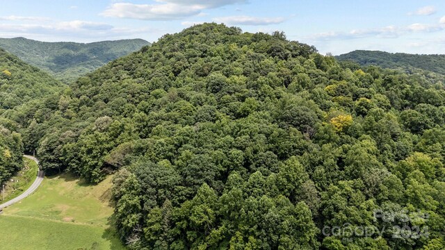 99999 Windswept Dr, Burnsville, NC 28714
