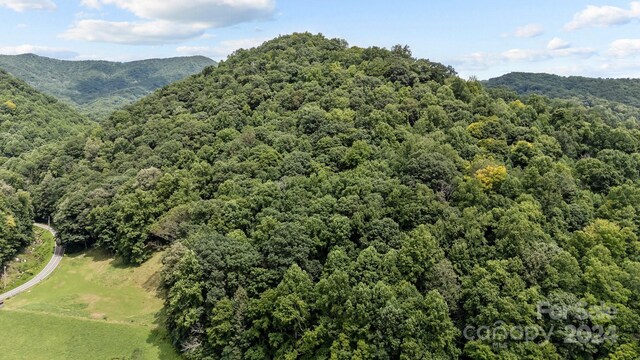 99999 Windswept Dr, Burnsville, NC 28714