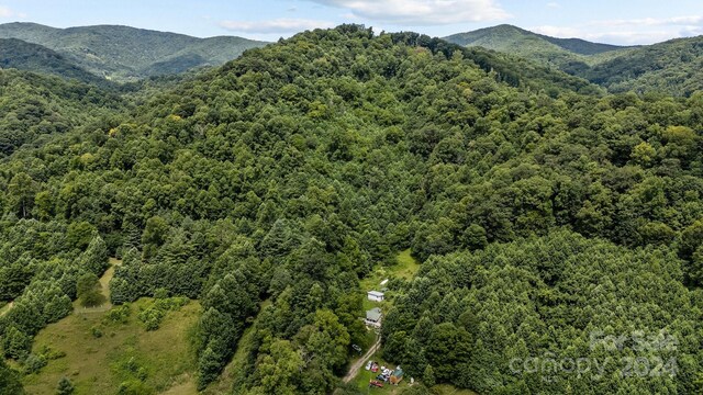 99999 Windswept Dr, Burnsville, NC 28714