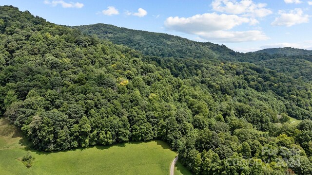 99999 Windswept Dr, Burnsville, NC 28714