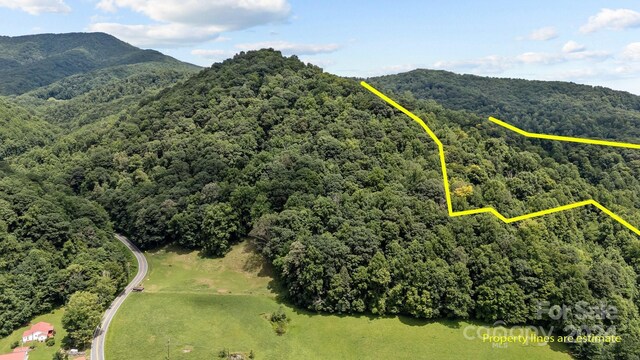 99999 Windswept Dr, Burnsville, NC 28714