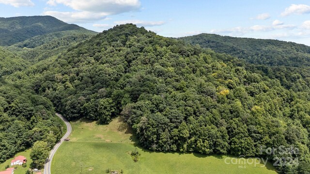 99999 Windswept Dr, Burnsville, NC 28714