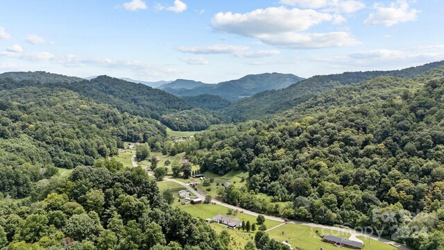 99999 Windswept Dr, Burnsville, NC 28714