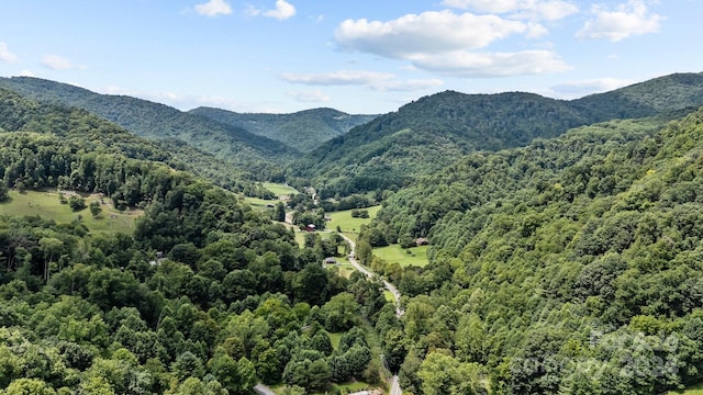 99999 Windswept Dr, Burnsville, NC 28714