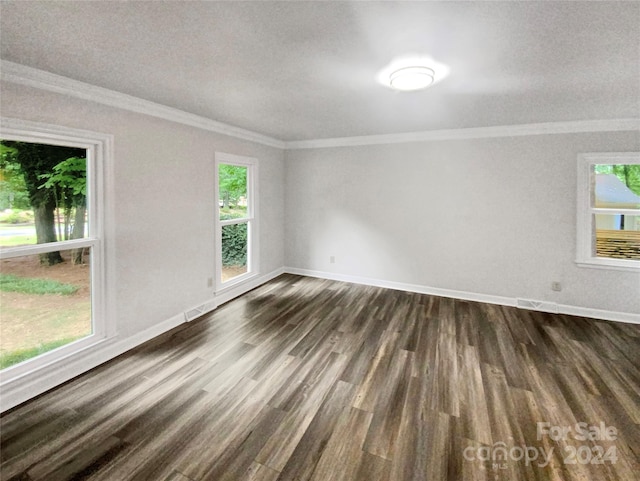 empty room with a textured ceiling, dark wood-type flooring, and ornamental molding