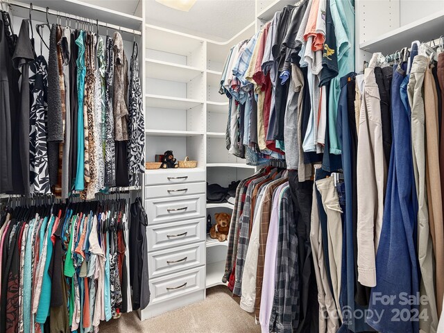 spacious closet with carpet floors