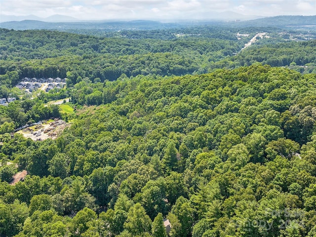 drone / aerial view featuring a mountain view