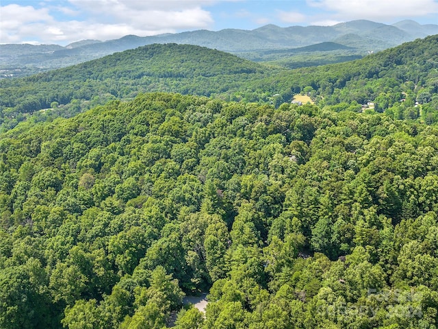 property view of mountains