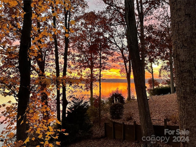 nature at dusk with a water view