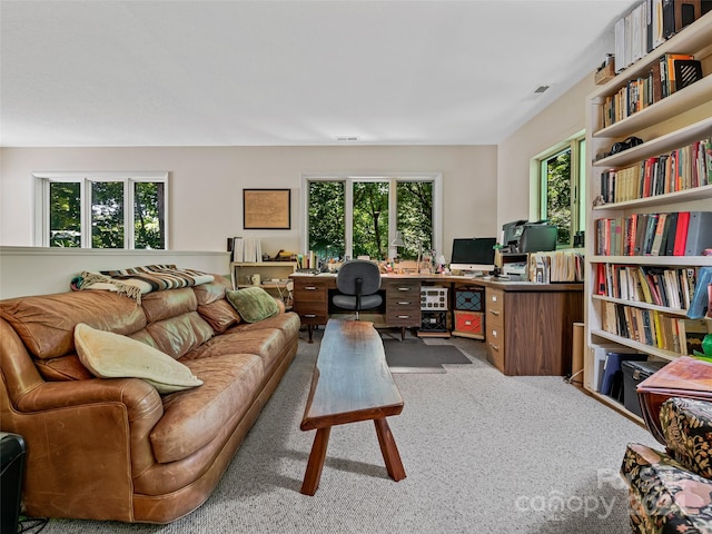 office area featuring carpet