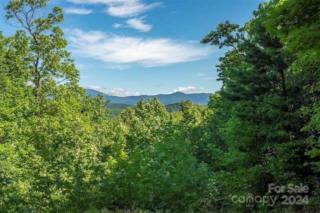 Listing photo 2 for 403 N Haven Dr, Black Mountain NC 28711