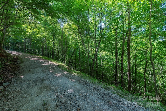 Listing photo 3 for 403 N Haven Dr, Black Mountain NC 28711