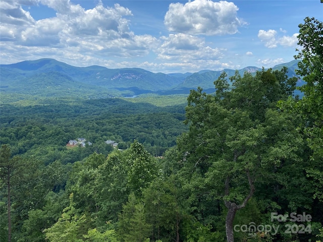 0 Golden Ridge Dr Unit 133, Lake Lure NC, 28746 land for sale