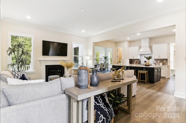 living room featuring light hardwood / wood-style flooring and sink