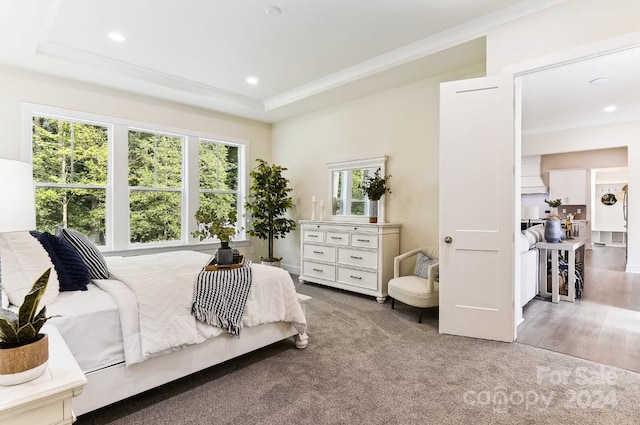 bedroom featuring carpet flooring and a raised ceiling