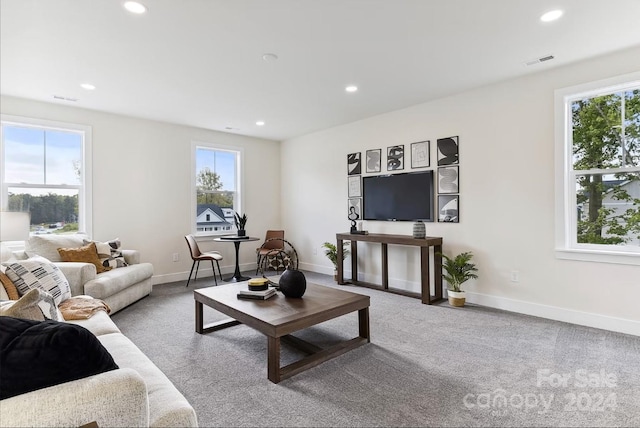 carpeted living room featuring plenty of natural light