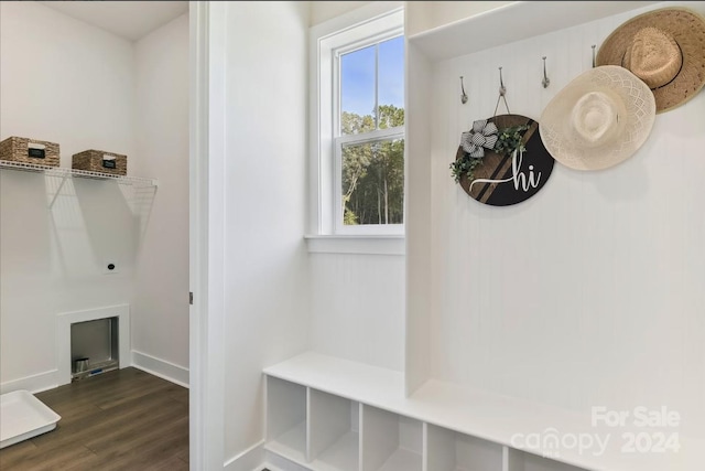 mudroom featuring a wealth of natural light and dark hardwood / wood-style floors