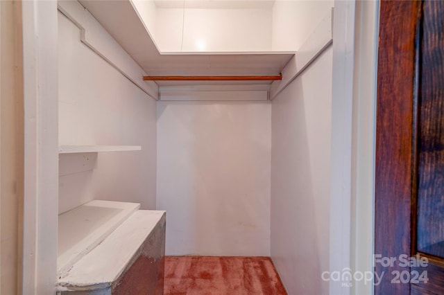 spacious closet featuring carpet floors