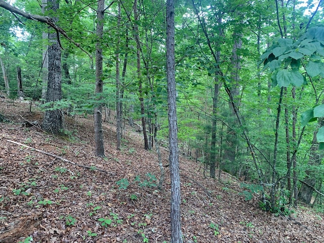 0 Bluebird Ter, Lake Lure, NC 28746