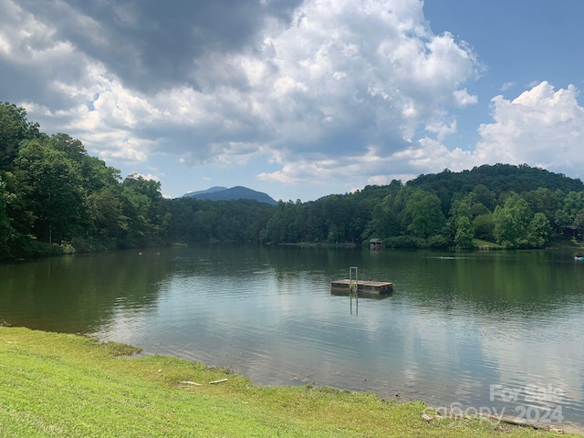 Listing photo 3 for 0 Bluebird Terrace, Lake Lure NC 28746