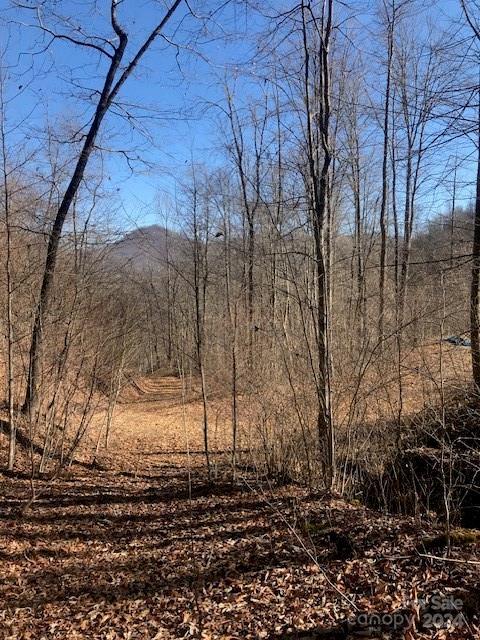 Listing photo 3 for TBD Mountain Brook Road, Sylva NC 28779