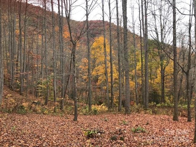 Listing photo 2 for TBD Mountain Brook Road, Sylva NC 28779