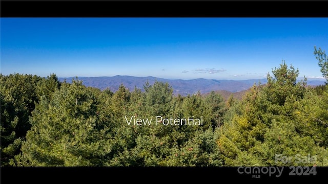 197 Eagle Bald Trl Lot 34, Burnsville NC, 28714 land for sale