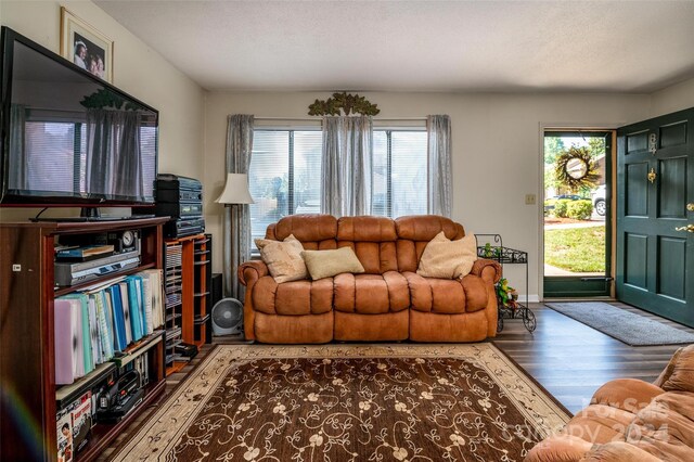 living room with dark hardwood / wood-style floors