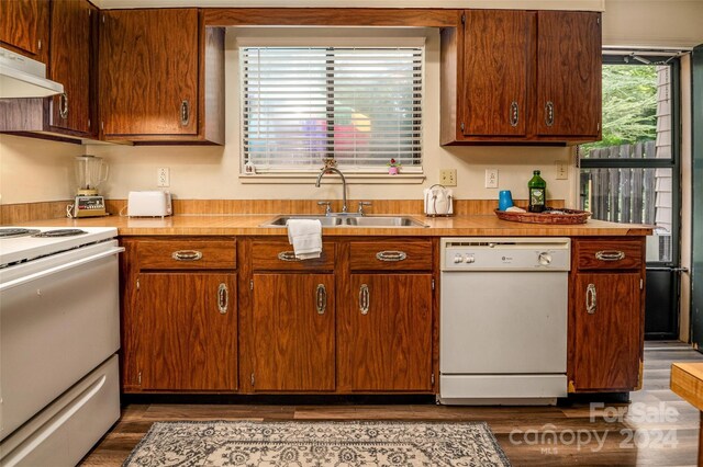 kitchen with hardwood / wood-style flooring, white appliances, and sink