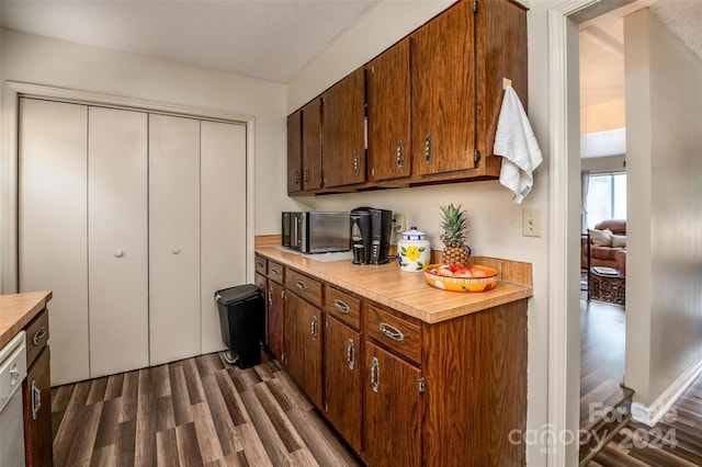 kitchen featuring dark wood-type flooring and dishwashing machine