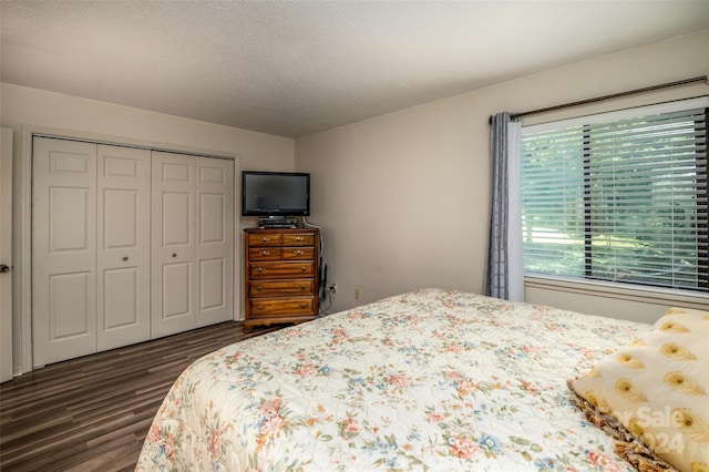 bedroom featuring a textured ceiling, dark hardwood / wood-style flooring, and a closet