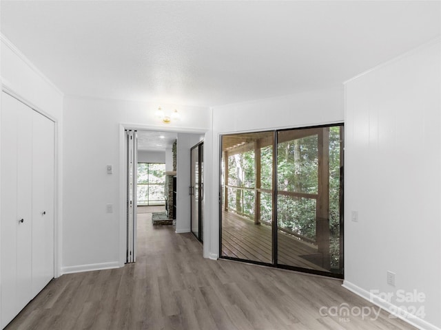 empty room featuring light hardwood / wood-style flooring